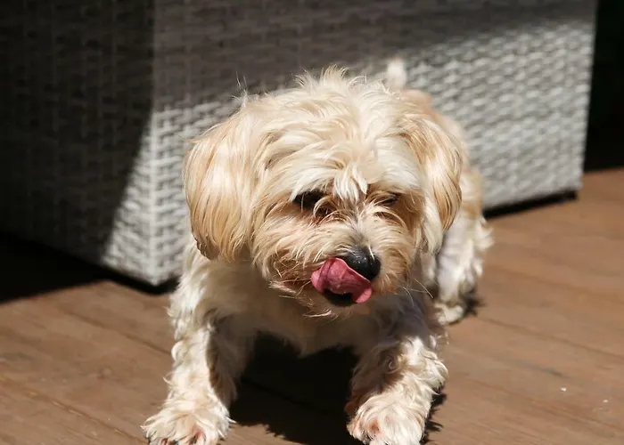 Chalet Grossglockner